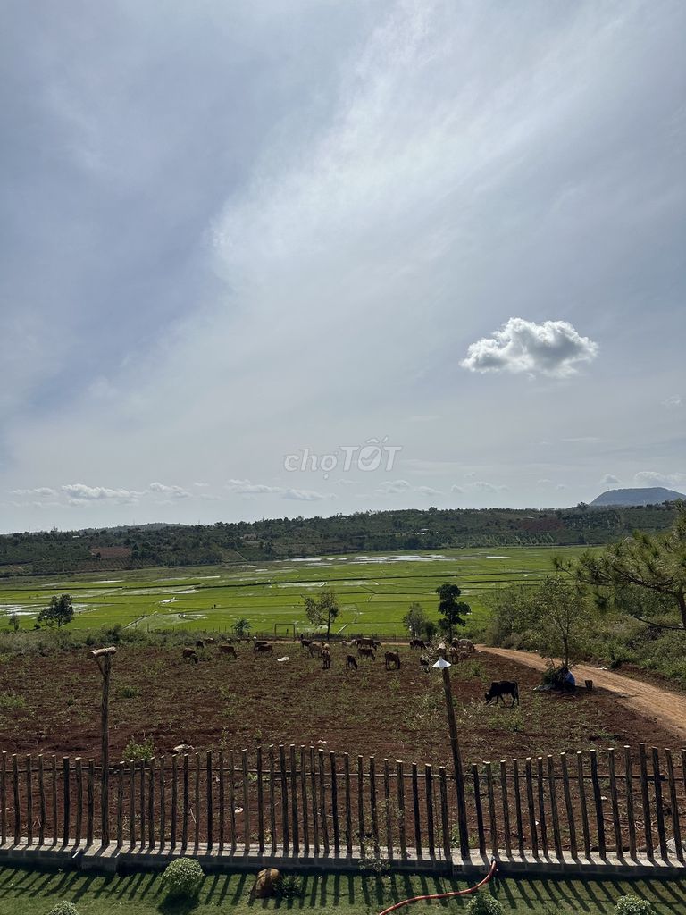 4673031 ảnh đại diện 2
