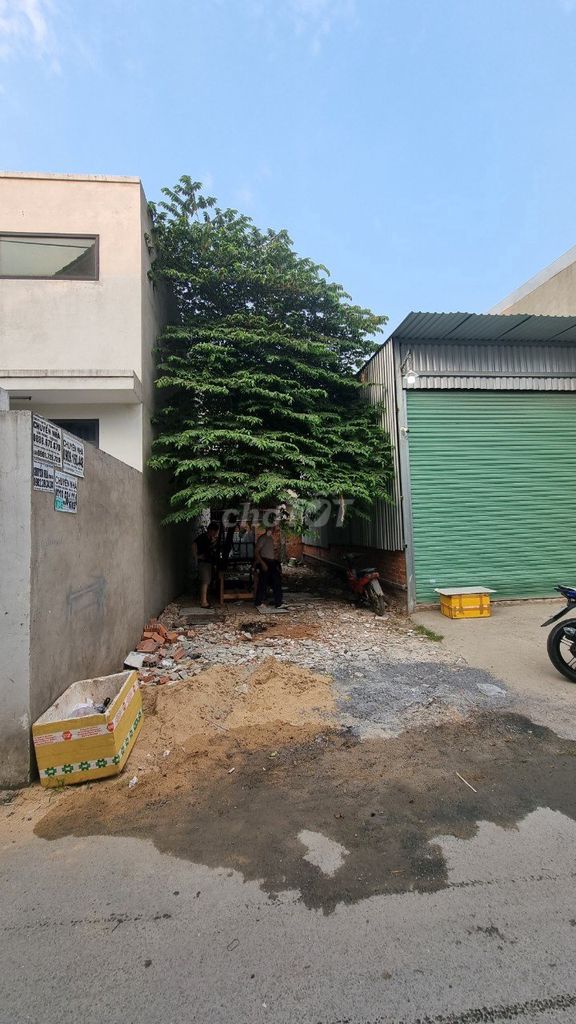 4681415 ảnh đại diện 1
