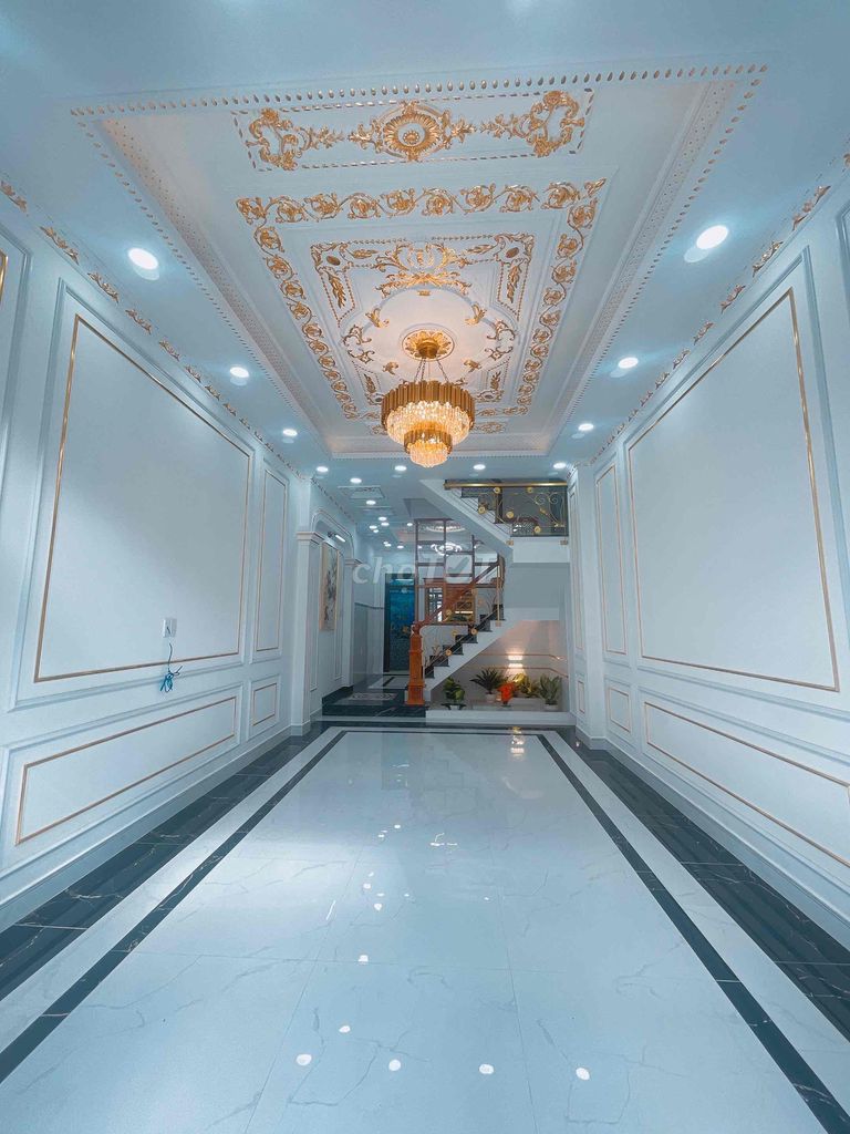 4704885 ảnh đại diện 2