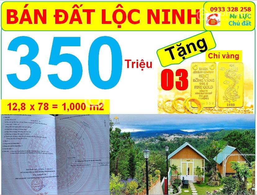 Bán Đất Huyện Lộc Ninh - Bình Phước Giá 350.00 Triệu