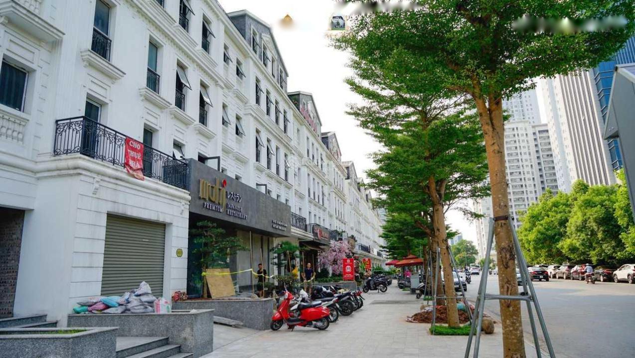 Chính Chủ Cho Thuê Căn Shophouse Mặt Đường Nguyễn Chánh 120M2, Diện Tích Sàn 495M2, Full Nội Thất