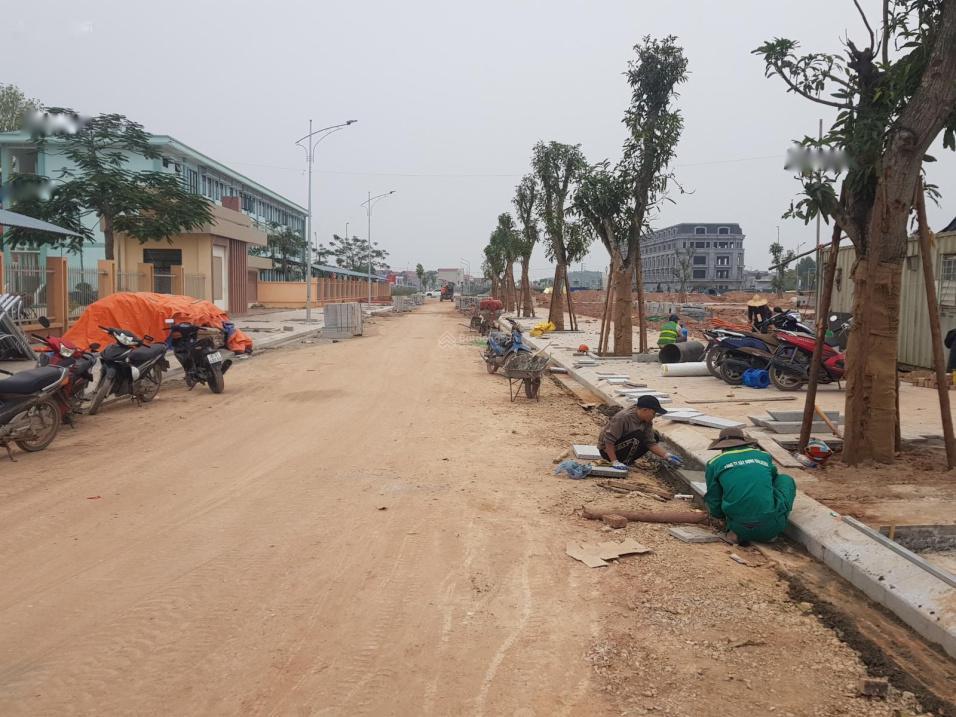 Cần Bán Ngay Đất Dự Án 90 M2 Tại Xã Tân Tiến - Bắc Giang - Bắc Giang, Giá 4.6 Tỷ