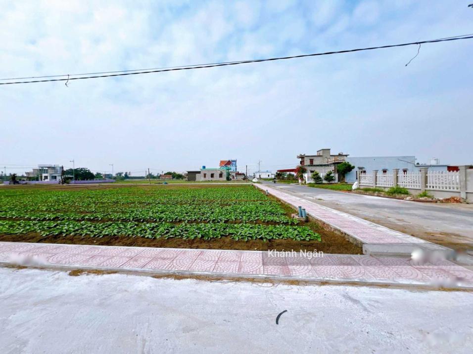 Cần Bán Lô Đất Sổ Riêng 100 M2 Tại Xã Giao Phong - Giao Thủy - Nam Định, Giá 850 Tr