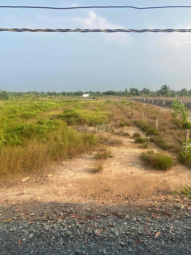 Đất Mặt Tiền Siêu Đẹp Giáp Ranh Bến Lức Cach Sài Gòn 50 Km