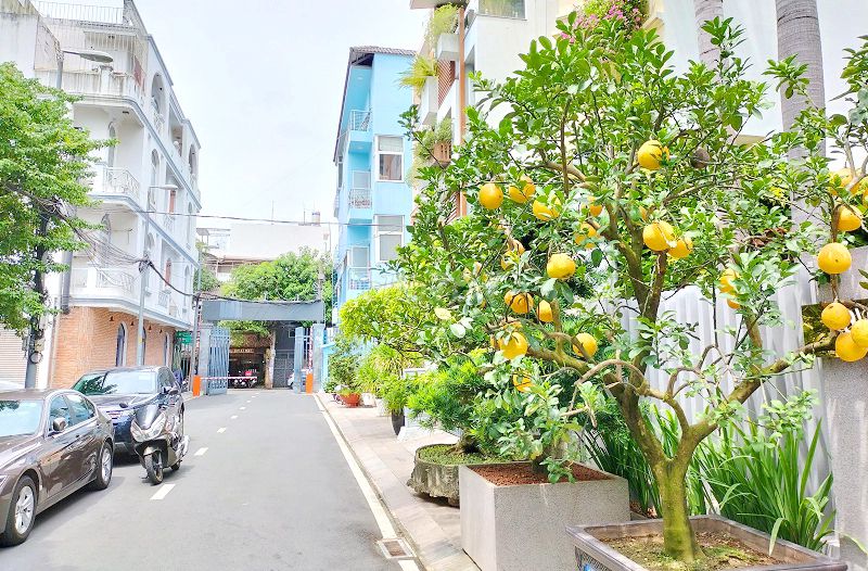 Ngang 18M, Villa Compound Nguyễn Trọng Tuyển Phường 10 Phú Nhuận.