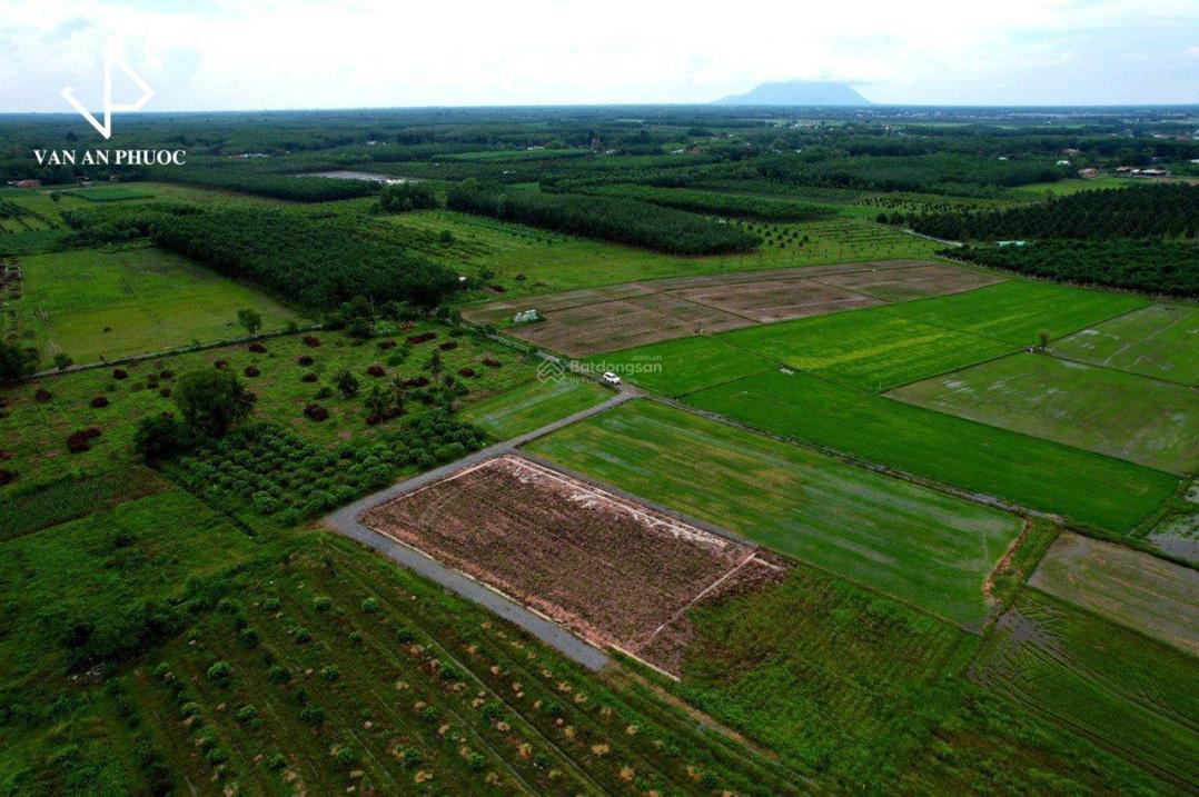 Cần Bán Nhanh Đất Dự Án 170 M2 Tại Xã Hiệp Thạnh - Gò Dầu - Tây Ninh, Giá 1.36 Tỷ