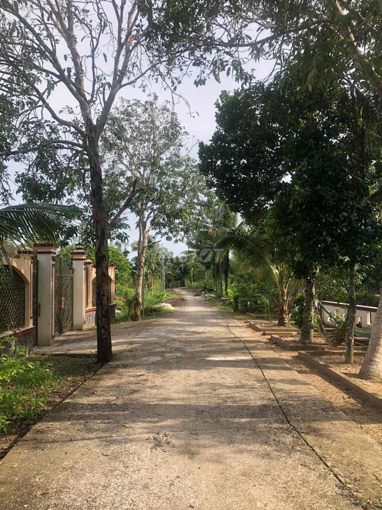 Nền Biệt Thự 2.200M2 View Sông Sát Nguyễn Văn Cừ Giá Đầu Tư