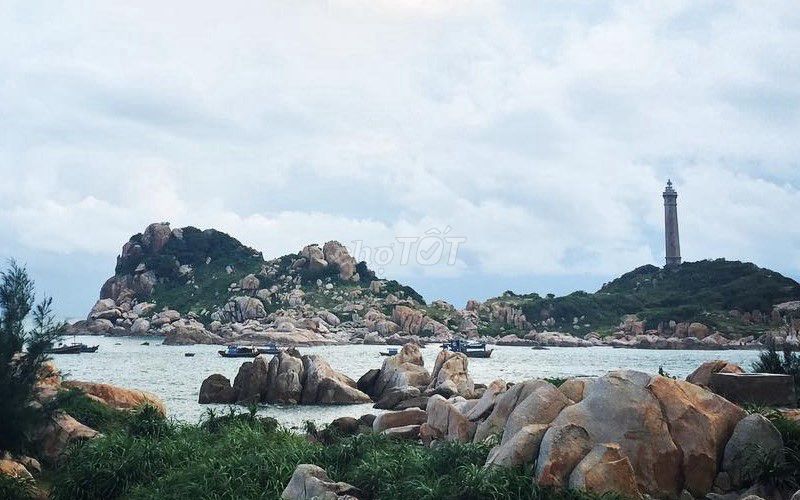 Bán 2000M2 Đất Phủ Hồng Đường Hòn Lan, Kê Gà - Gần Thanh Long Bay