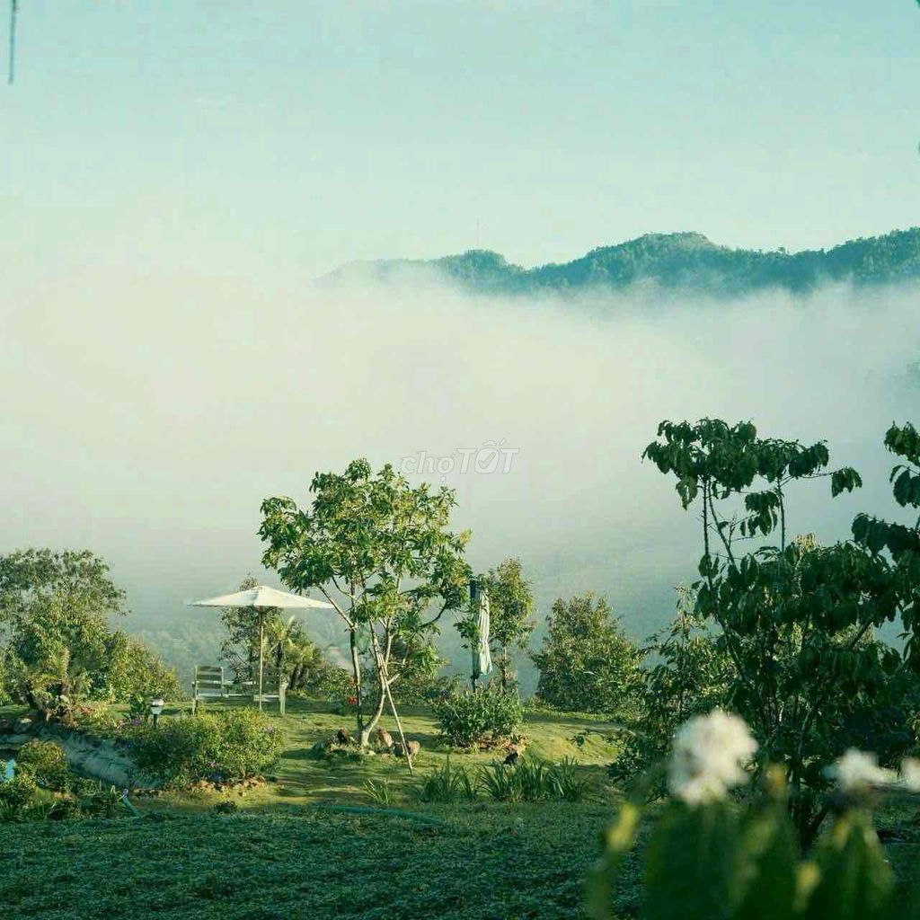 Bán Đất View Săn Mây Tại Đại Lào Bảo Lộc , Ngay Thành Phố Bảo Lộc .