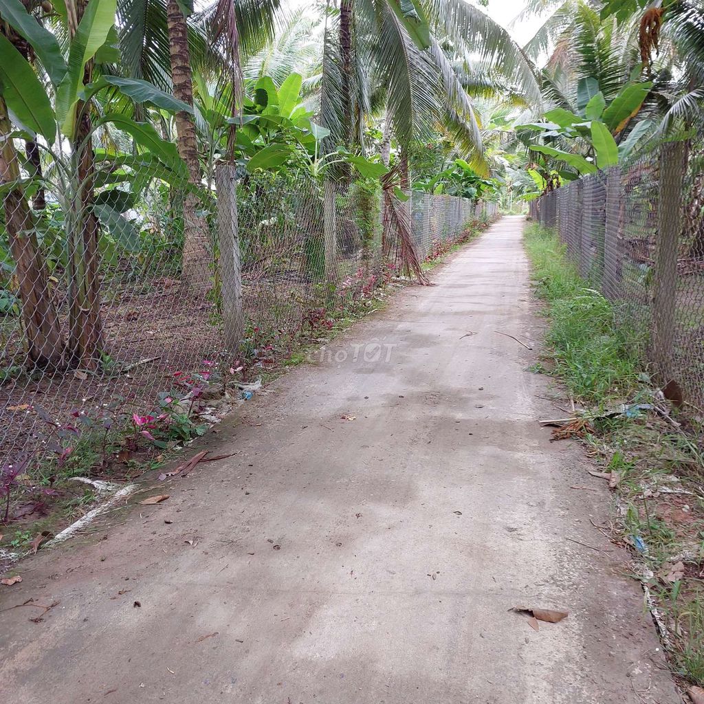 Mảnh Vườn Dừa Có Thổ Cư Đường Xe Hơi Phong Nẫm