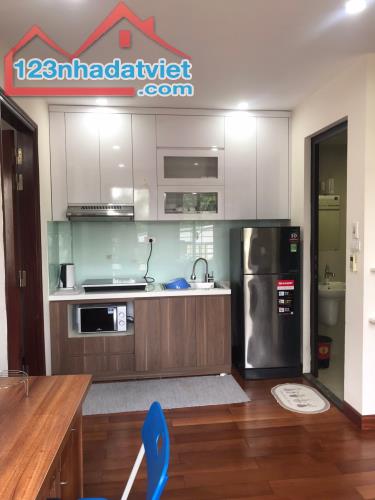 Cho Thuê Căn Hộ Apartment 1N,1K Full Đồ Tại Ngõ 29 Liễu Giai, Ba Đình. Chỉ 9.5Tr