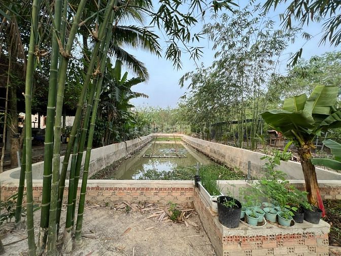 Cho Thuê Nhà Vườn 1800M Giá Rẻ Tại Ấp Long Hưng, Xã Long Nguyên, Huyện