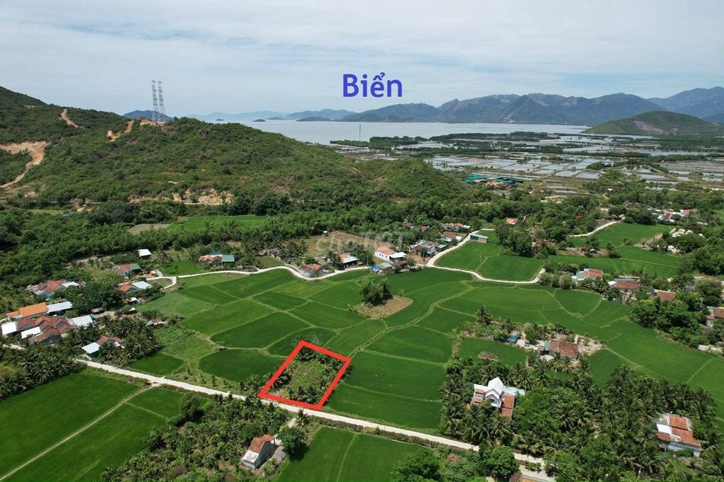 Đất 613M2 Ninh Phú, Ninh Hòa: Đầu Tư Lý Tưởng