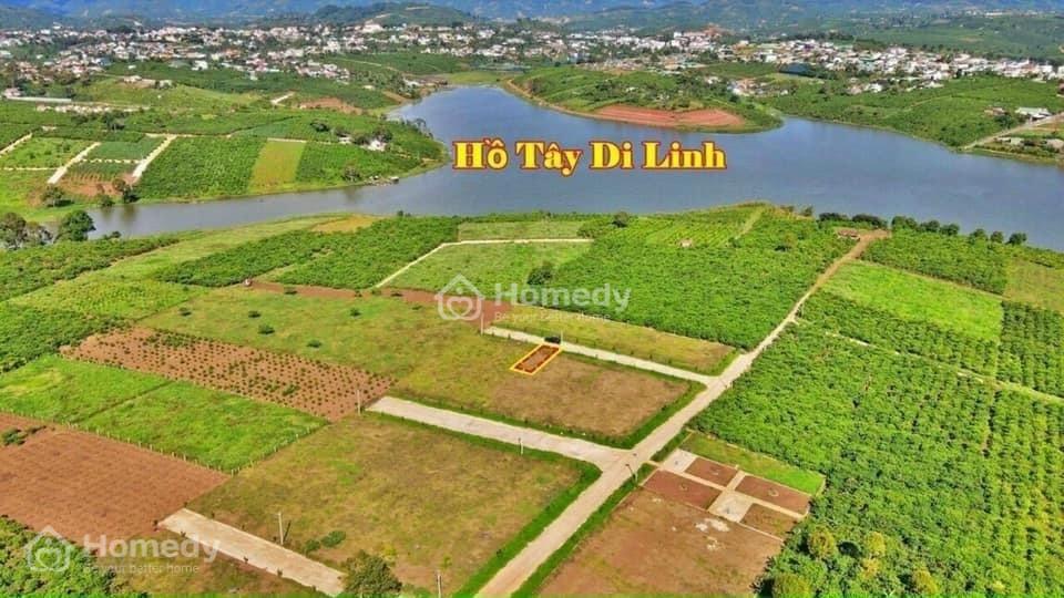 Bán Đất Nền View Trực Diện Hồ Tây - Huyện Di Linh - Lâm Đồng Giá 8.50 Triệu