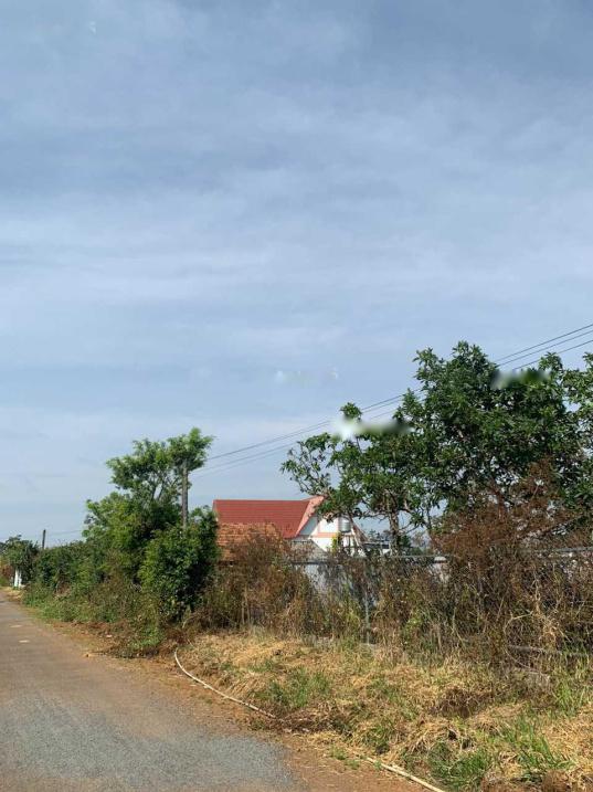 Cần Bán Lô Đất Nền 120 M2 Tại Đường Mạc Đĩnh Chi - 2 - Bảo Lộc - Lâm Đồng, Giá 1 Tỷ