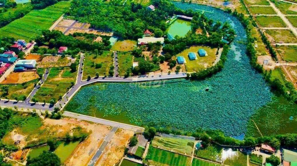Bán Nhanh 100M View Hồ Sen Trong Khu Đô Thị Giá Chỉ 2X Nhỏ Xíu