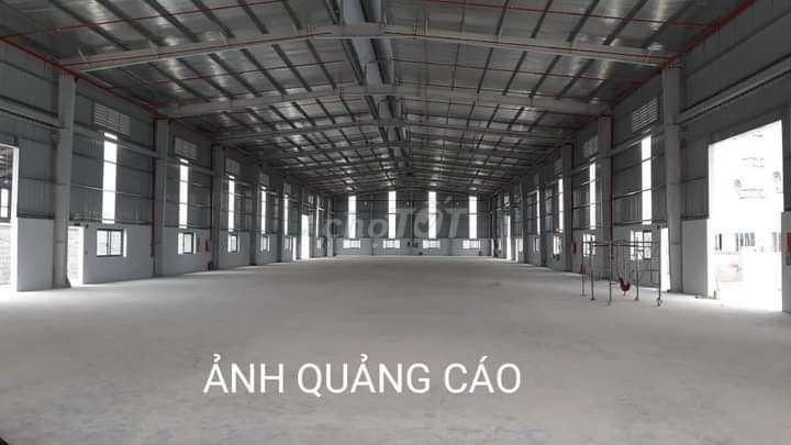 Cho Thuê Kho Xưởng(1000M²) Nguyễn Cửu Phú, Bình Tân