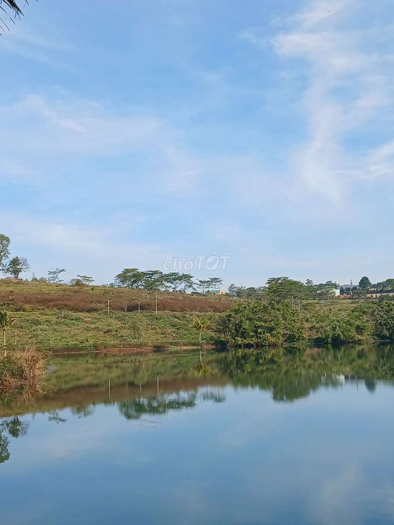 Bán Gấp Lô Đất 1000M2 View Hồ, Chủ Kẹt Ngân Hàng Giá 600 Triệu