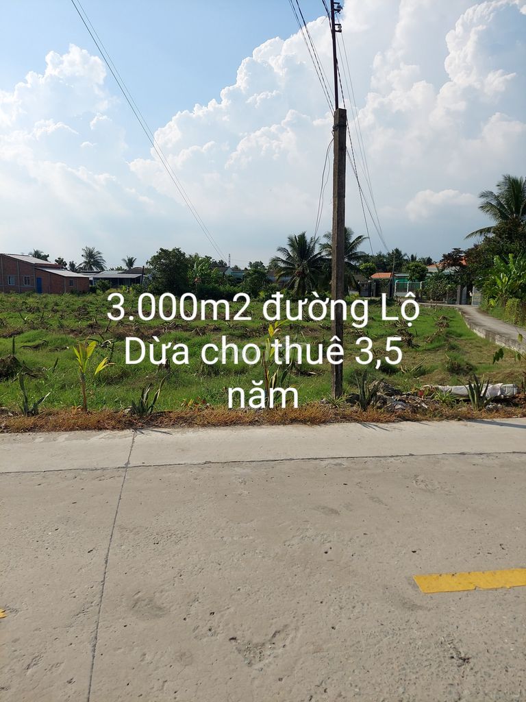 Cho Thuê 3000M2 Đất Vườn, 500K/Tháng, Mặt Tiền Đường Lộ Dừa, Vĩnh Công
