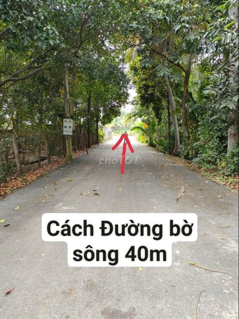 Kẹt Tiền Bán Gấp Lô Đất Mặt Tiền An Sơn 05, Thuận An, Bình Dương.
