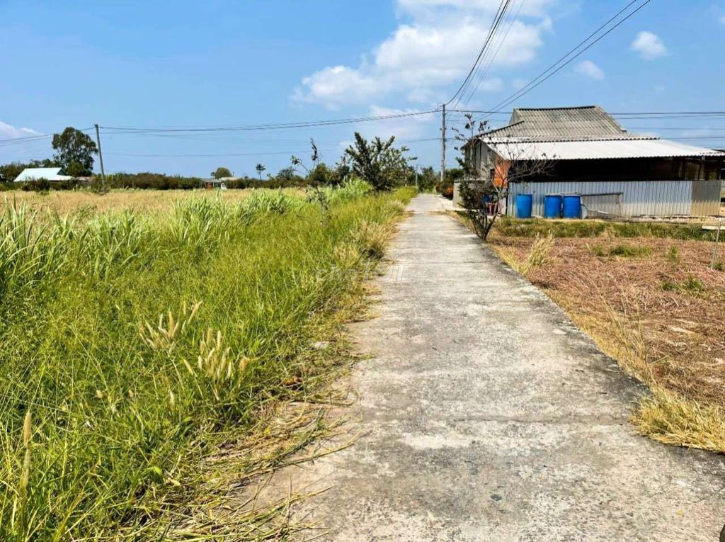 Đất Giá Rẻ Huyện Tân Phú Đông