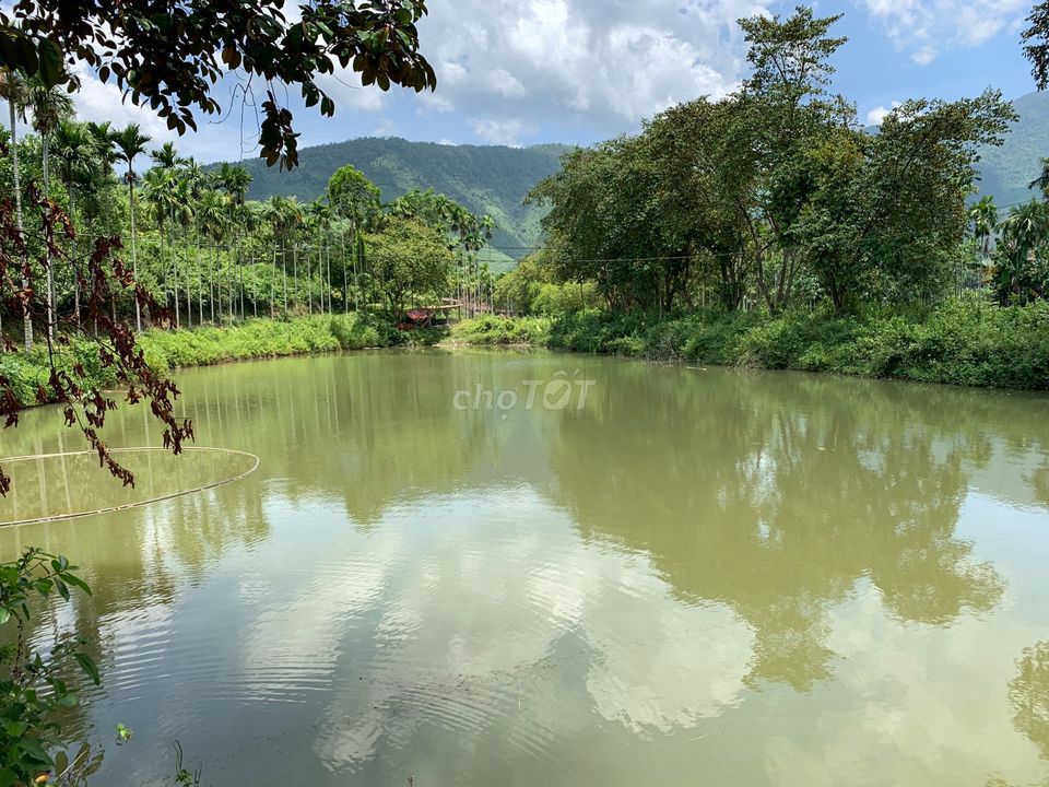 Cần Bán Nhà Vườn Siêu Đẹp Có Sẵn Nhà Vườn Hồ Ao Cá Xã Hoà Ninh