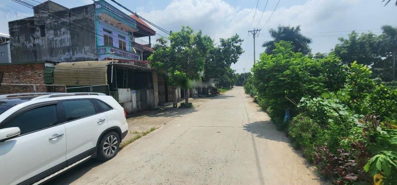 Bán Đất Nền 110 M2 Tại Xã Mai Đình - Sóc Sơn - Hà Nội, Giá 2.95 Tỷ