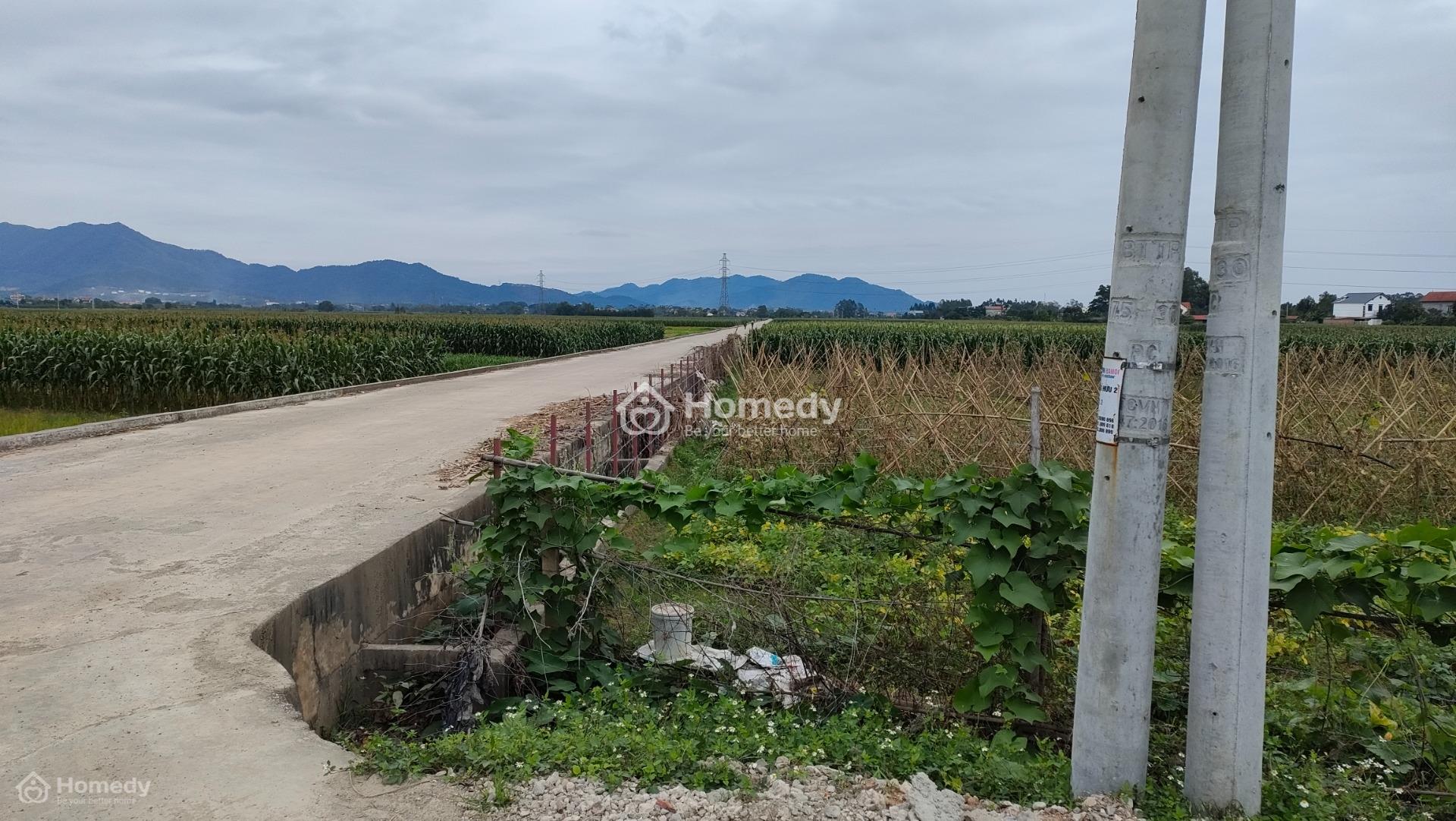 Bán Đất 235M2 Tại Thôn Thắng Hữu, Xã Minh Trí, Huyện Sóc Sơn, Hà Nội
