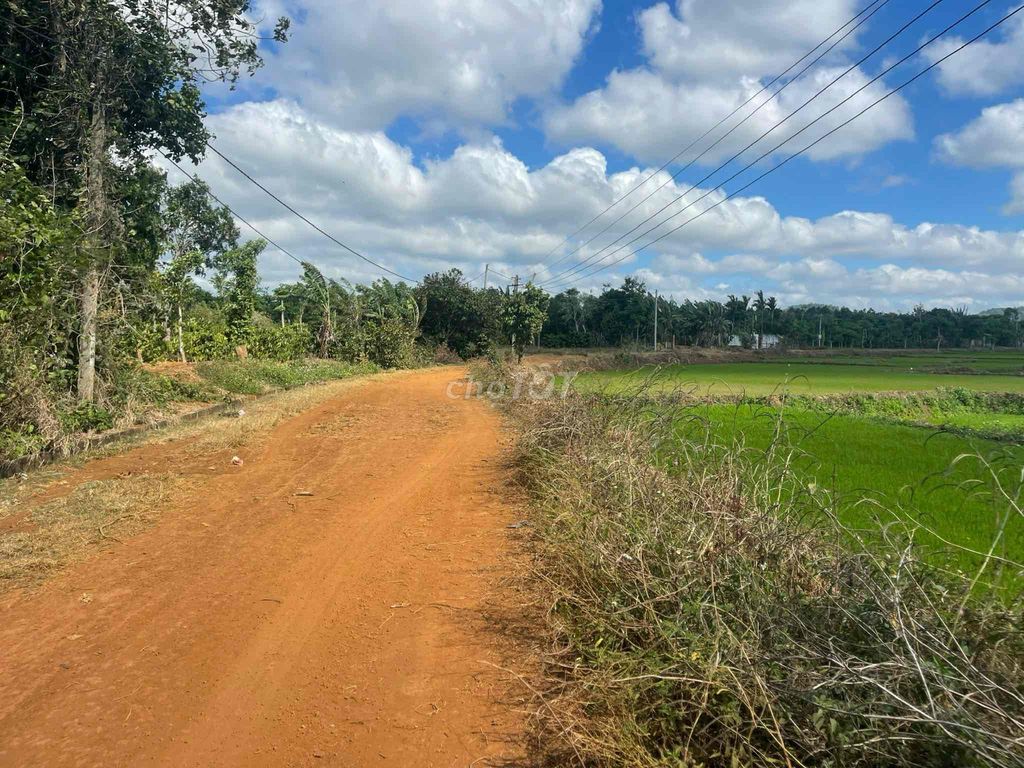 1 Sào View Cánh Đồng 2 Mặt Tiền Trước Sau Cách Chợ Chi Lăng Chỉ 1,7 Km