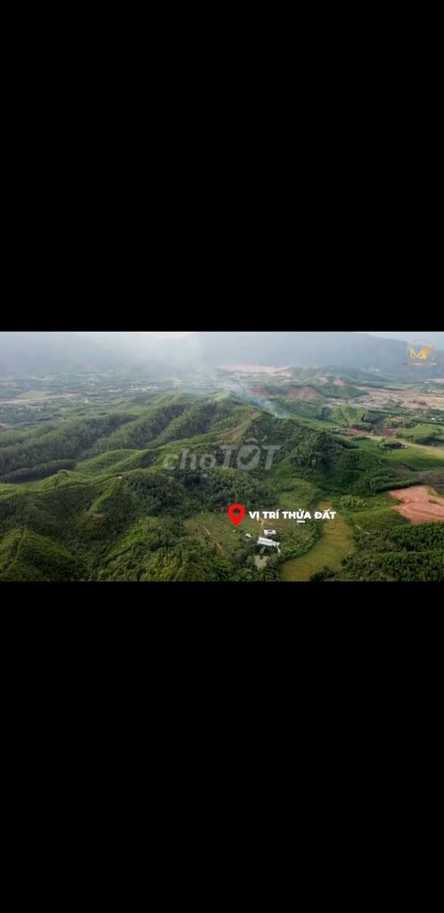 Cần Bán 38.000M2 Có Sẵn Nhà Vườn Ngay Trung Tâm Xã Hoà Ninh