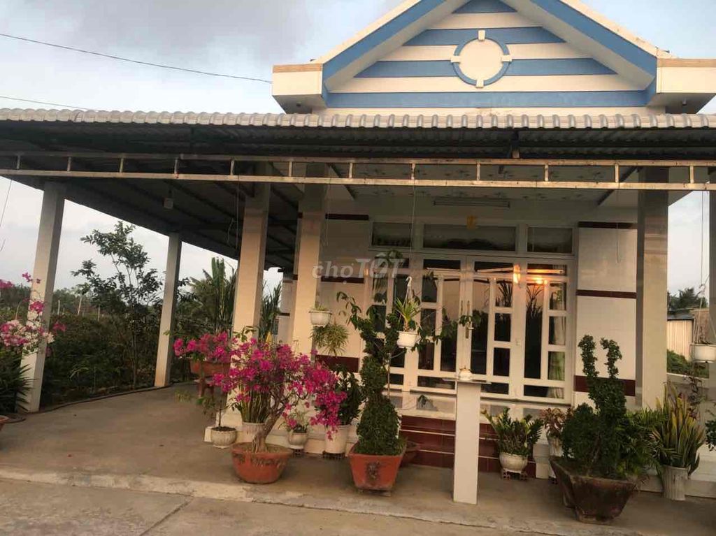 Bán Nhà Ở Ấp Thuận Hiệp - Xã Thuận Hòa- Huyện Cầu Ngang- Trà Vinh