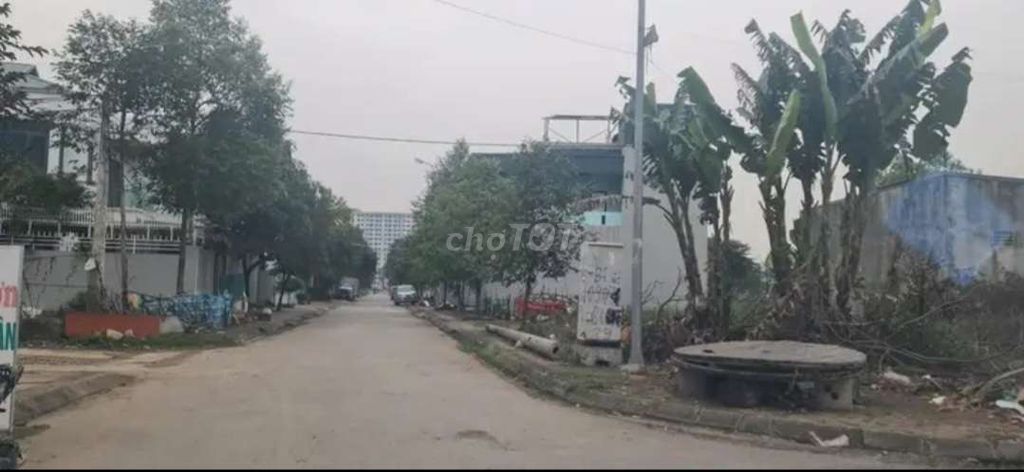 Thổ Cư 100M² Cạnh Aeon Mall - Võ Nguyên Giáp - Quảng Thành