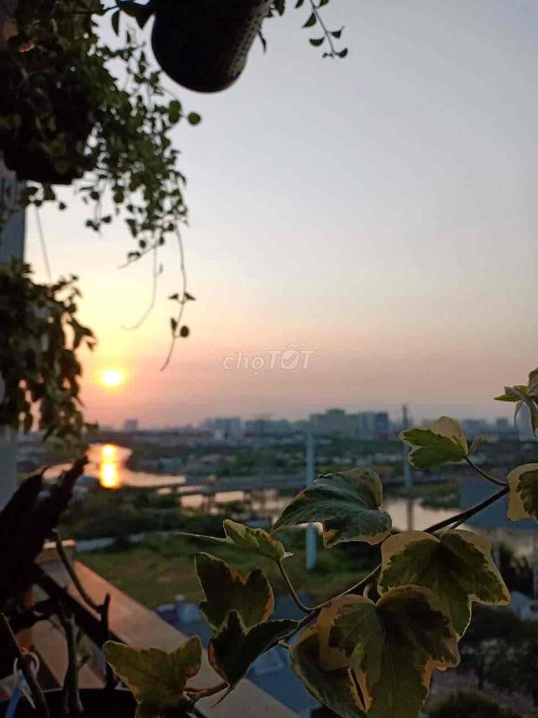 Cho Thuê Saigon South Residences 2Pn View Đẹp, Giá Tốt
