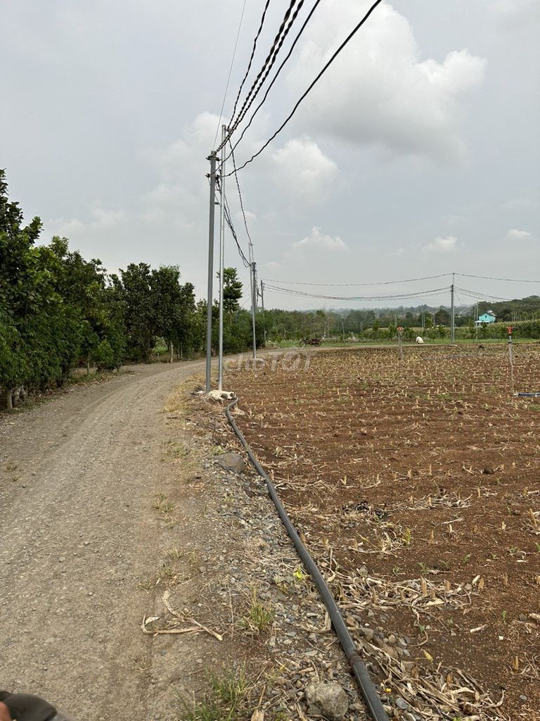 Bán 1000 M2 Đất Cây Lâu Năm Ở Cẩm Mỹ, Đồng Nai