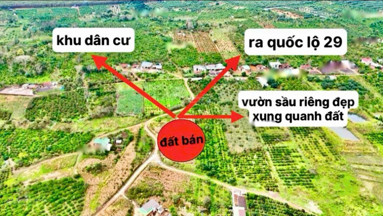 Bán Nền Đất 500 M2 Tại Xã Phú Lộc - Krông Năng - Đắk Lắk, Giá 89 Tr