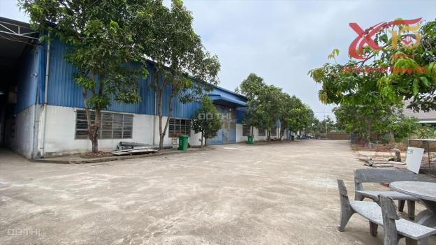Bán Nhà Xưởng Ql51 Phước Tân Biên Hòa Đồng Nai Dt 10.000M2-Bình Điện 560Kva,Giấy Phép Pccc-7