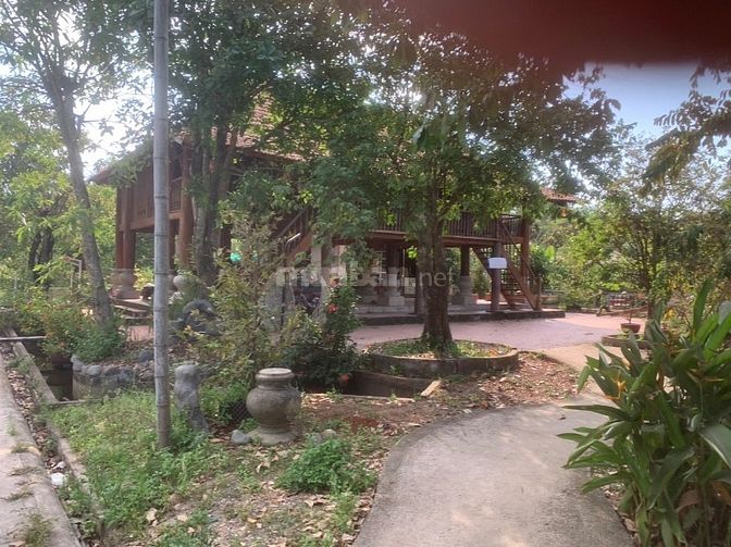 Cho Thuê Khu Vườn Sinh Thái Rộng 8000M2 Tại Long Thành, Đồng Nai