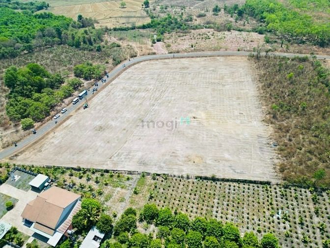 Cần Bán Đất Mặt Tiền Đường Nhựa Xã Lòa, Lộc Ninh, Bình Phước
