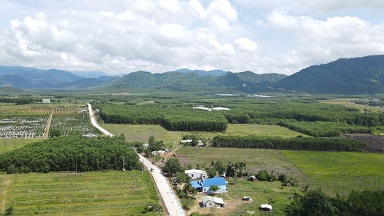 Bán Đất Mt Tl8B Khánh Bình ,Huyện Khánh Vĩnh , Khánh Hòa