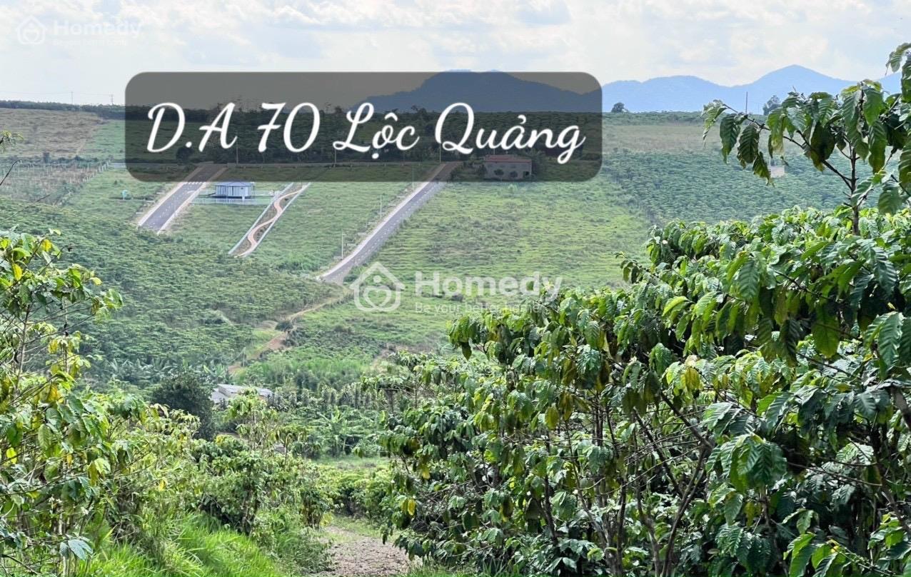 Ngộp Quá Rồi! Bán Lô Đất Chưa Qua Đầu Tư Đường 21, Lộc Quảng, Bảo Lâm, Bảo Lộc - Qh Thổ Cư