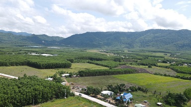 Bán Đất Mt Tl8B Khánh Bình ,Huyện Khánh Vĩnh , Khánh Hòa