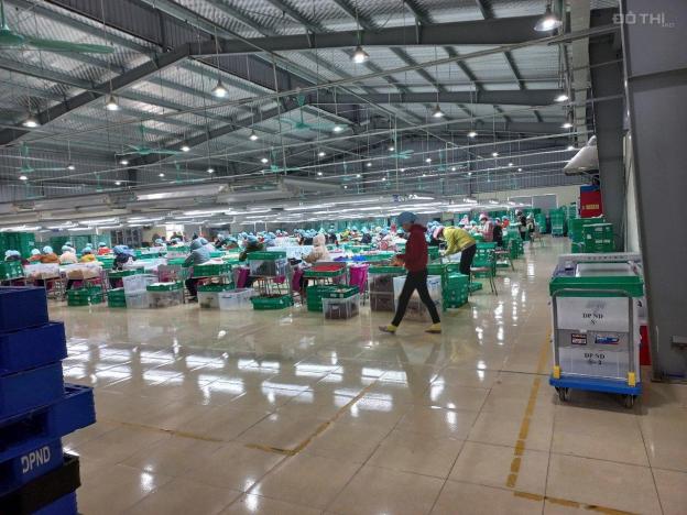 Transfer Of The Entire Factory In Nam Dinh Province
