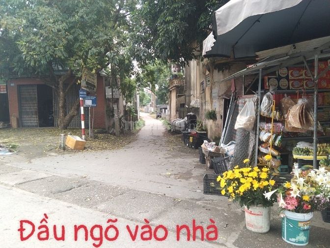 Bán Đất Đã Có Nhà 2 Tầng Đang Kinh Doanh Quán Cafe Hiệp Hòa, Bắc Giang