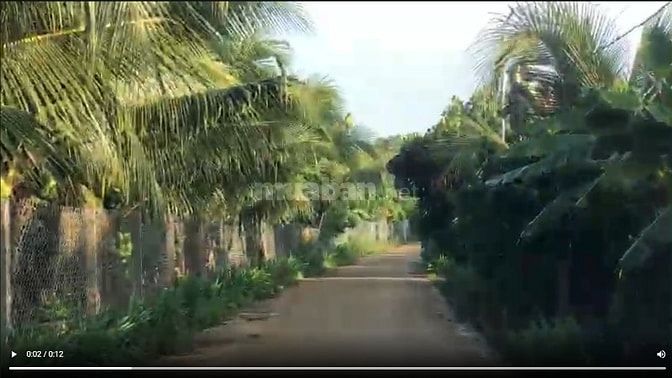 Bán Đất Vườn Bưởi Và Dừa Tại Xã Bảo Hòa, Xuân Lộc