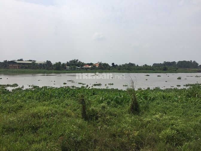 Cần Bán Lô Đất Trồng Cây Lâu Năm Dọc Bờ Sông Sài Gòn