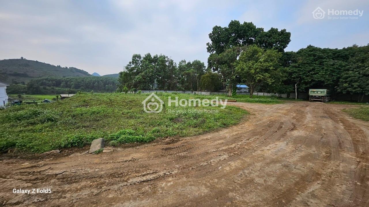 Bán Đất Hợp Hòa, Lương Sơn Hòa Bình 5568M2 Bám Mặt Đường Tránh Thị Xã Lương Sơn