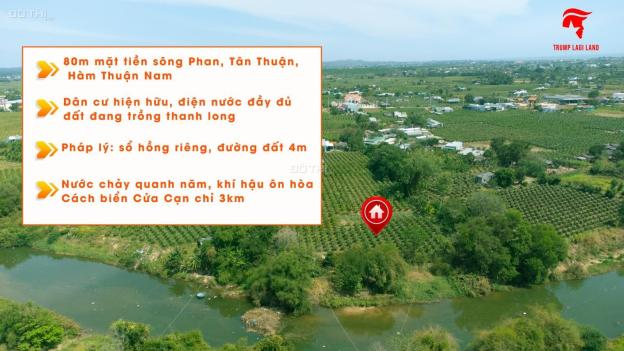 Hơn 2 Sào Đất Gần Biển Mt Sông Phan - Huyện Hàm Thuận Nam Giá Ngộp