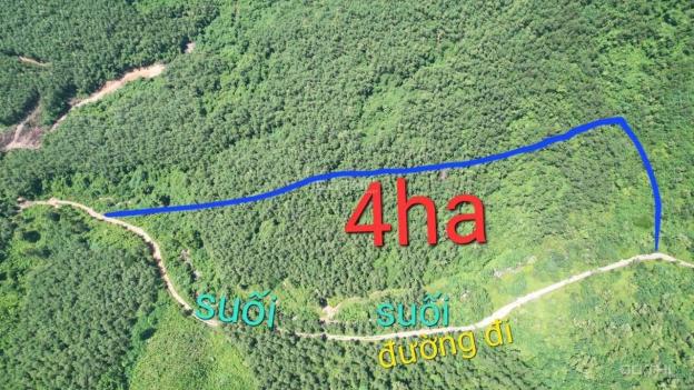 Bán Đất Có Suối Quanh Năm Rộng 4 Hecta Giá Chỉ 750Tr Xã Ninh Tây, Ninh Hoà Lh 0788.558.552