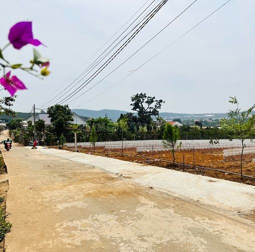 Bán 262M2 Đất Vị Trí Trung Tâm Mê Linh, Cách Chợ Đêm Đà Lạt 19Km