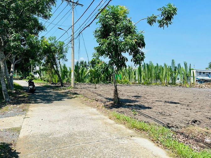 Đất Trồng Cây Lau Năm, Mặt Tiền Đường Thanh Nien Xung Phong, Hiệp Phướ